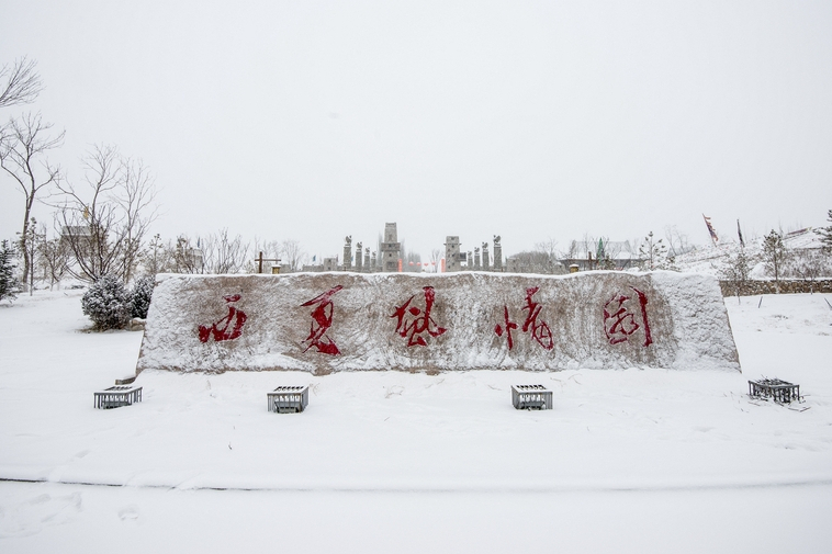 西夏風情園滑雪場