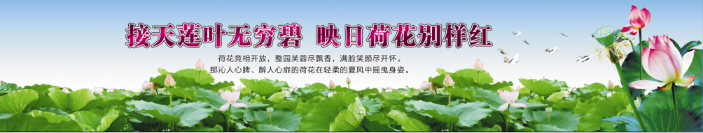 “荷塘悅色—相約荷花季” 2015宜春南廟荷花節