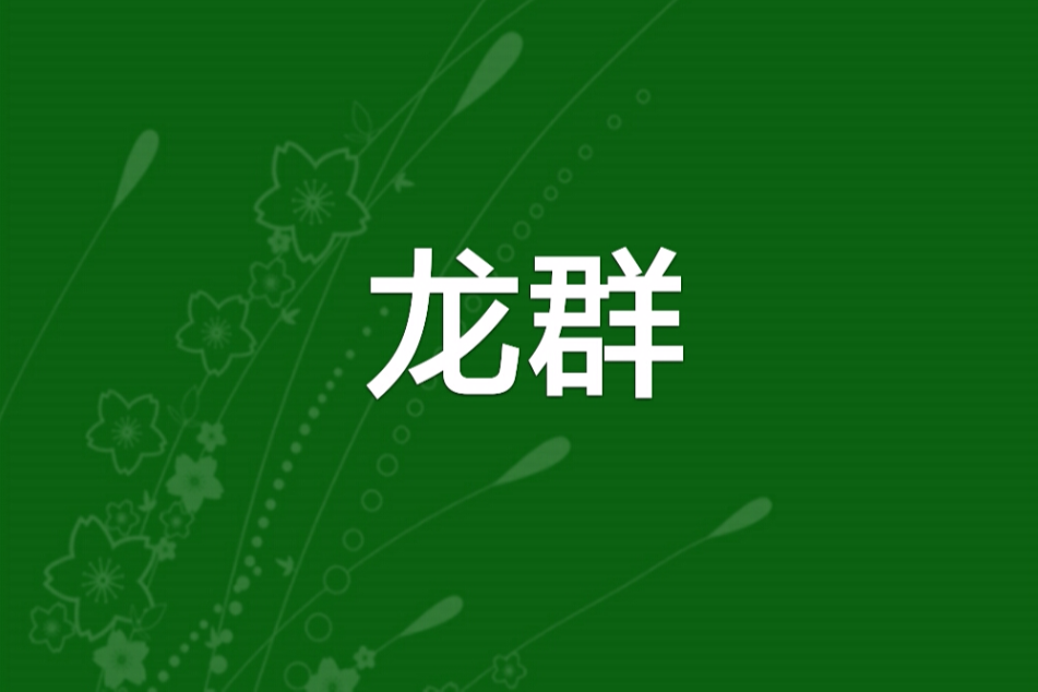 龍群(網路小說)