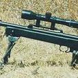 TCIM89狙擊步槍