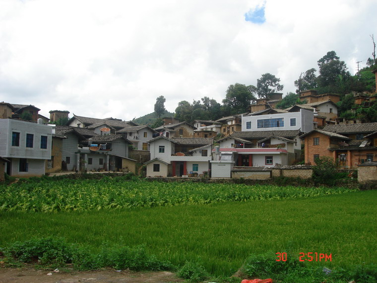 茂林村(峨山縣富良棚鄉富良棚村民委員會下轄村)