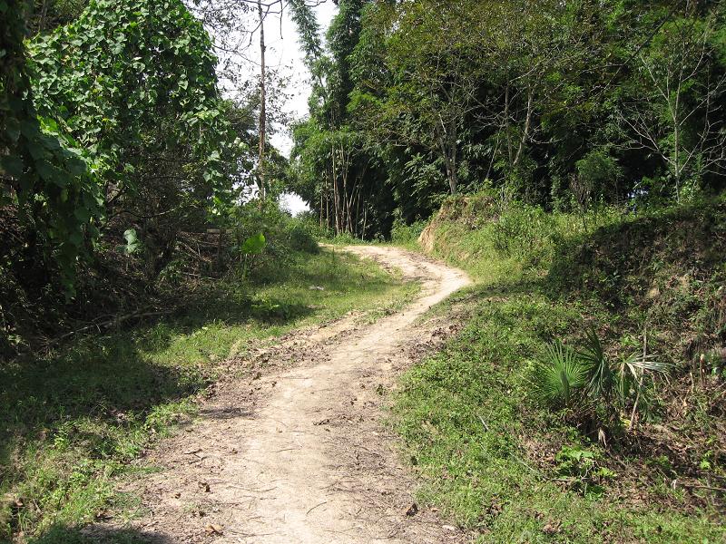 進村道路