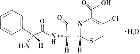 頭孢克洛緩釋膠囊