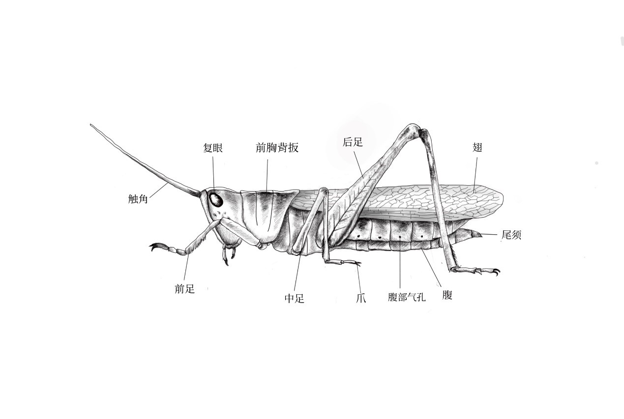 數說科學月度榜單——2020·7