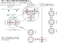 基本粒子理論