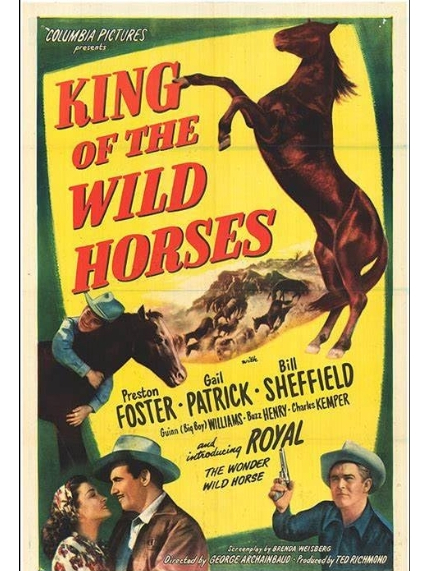 King of the Wild Horses(美國1947年George Archainbaud執導的電影)