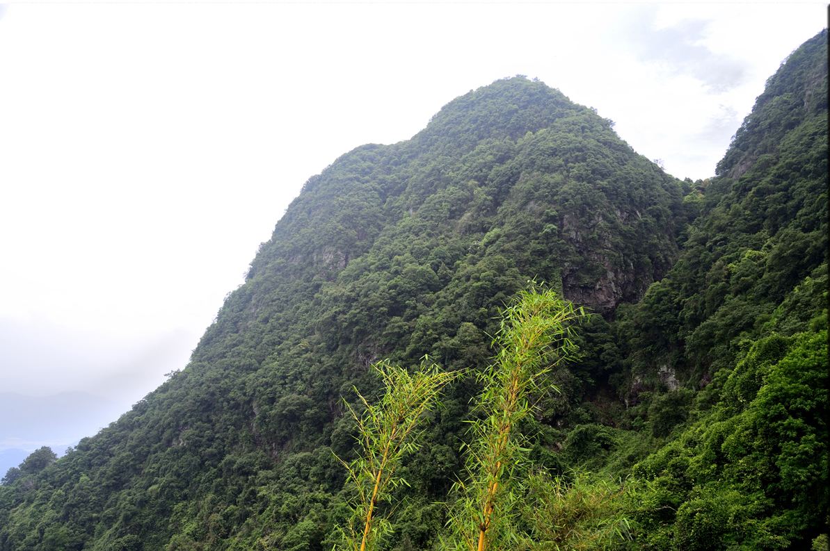 紫荊山(山西朔州紫荊山)