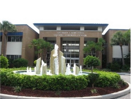 佛羅里達州立學院海牛-薩拉索塔分校