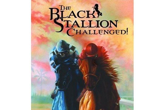 The Black Stallion Challenged