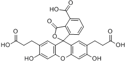 2,7-雙（2-羧乙基）-5(6)-羧基螢光素