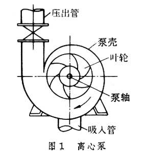 離心泵