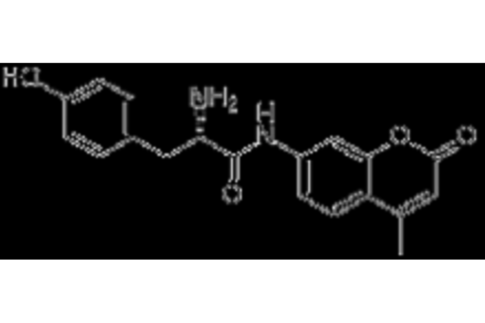 L-酪氨酸-7-胺基-4-甲基香豆素