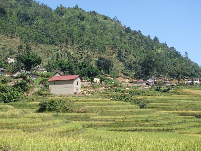 村莊田園