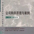 公司購併原理與案例--（第三版第六分冊）