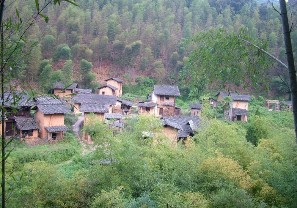 水子樹村(雲南曲靖市會澤縣新街回族鄉下轄村)