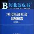 河北經濟社會發展報告/河北藍皮書