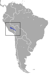 Lestoros inca range