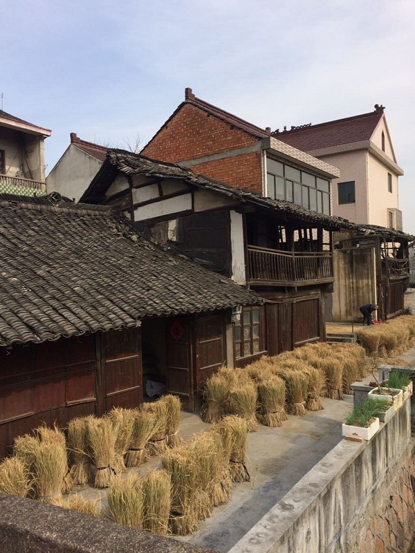 灣里村(河北省石家莊市灣里村)