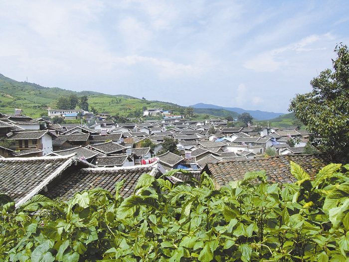 和愛鄉(四川省攀枝花市鹽邊縣和愛鄉)