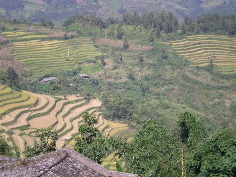 東瓜嶺村