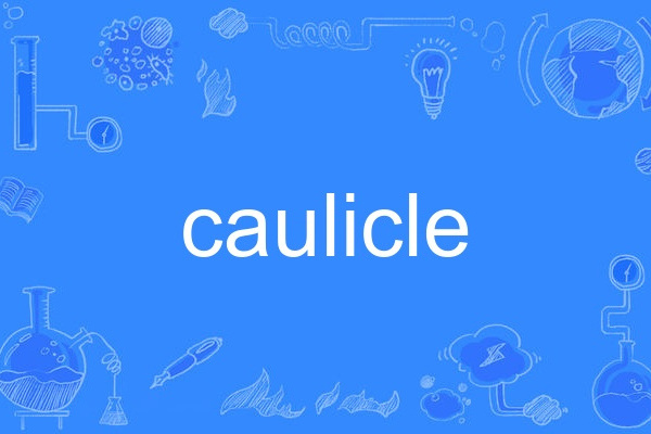 caulicle