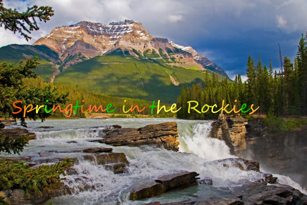 Springtime in the Rockies(Tiny Tim,Brave Combo演唱的英文單曲)