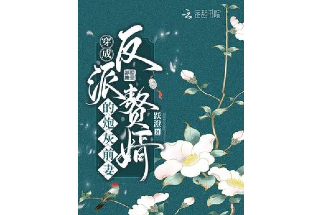 穿成反派贅婿的炮灰前妻