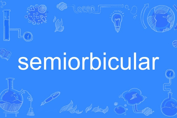 semiorbicular