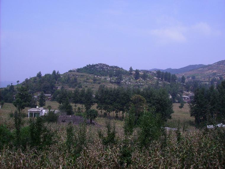 恆底村(雲南省昭通市彝良縣龍街鄉下轄村)