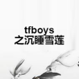 tfboys之沉睡雪蓮