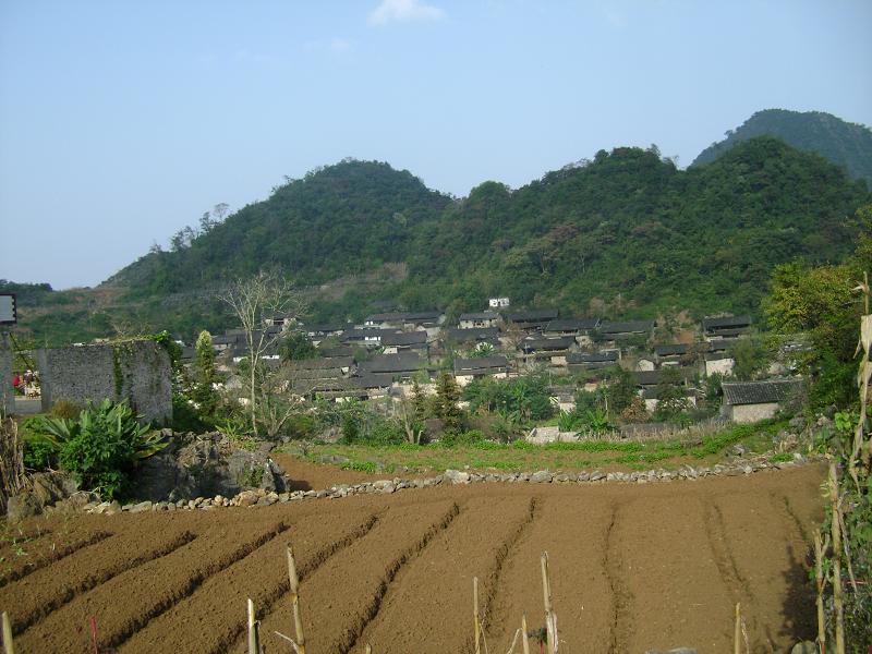 大箐村(雲南省曲靖市馬龍縣通泉鎮下轄村)