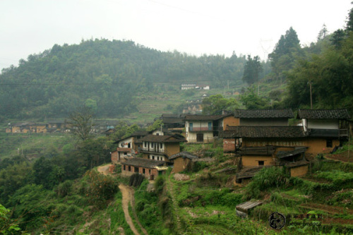 高山村(黔西南布依族苗族自治州高山村)