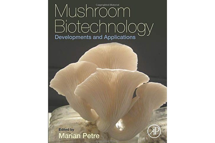 Mushroom Biotechnology: Developments and Applications