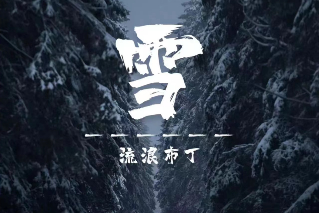 雪(2022年流浪布丁o演唱的歌曲)