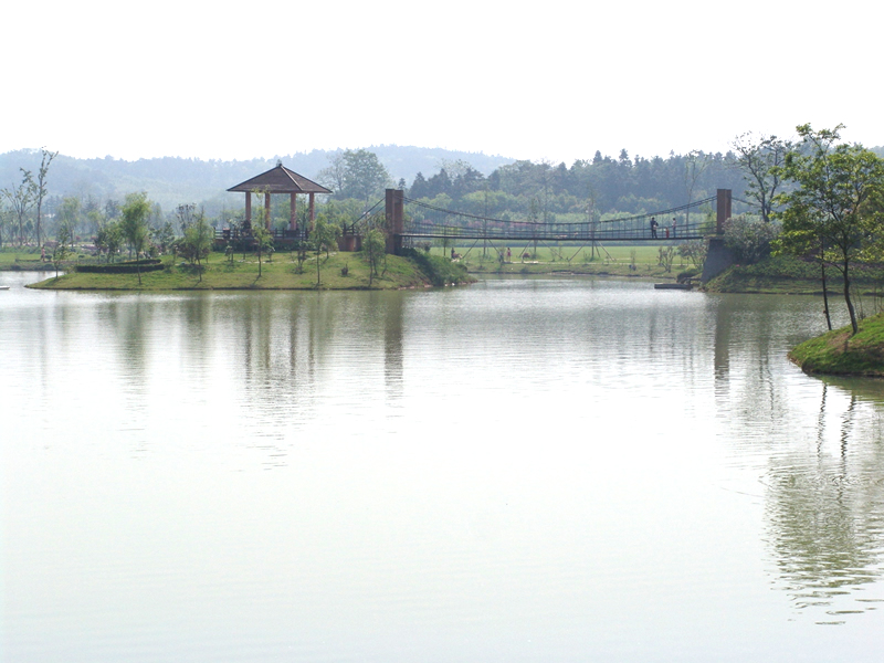 宜興龍背森林公園