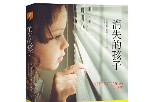 消失的孩子(2019年北京聯合出版公司出版的圖書)