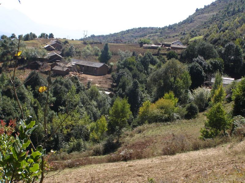 坡塘村(廣西南寧市橫縣百合鎮下轄村)