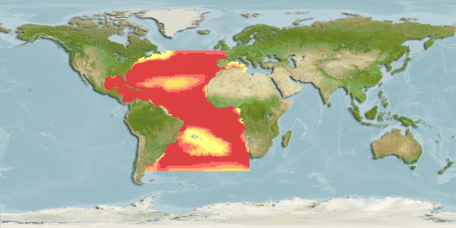 大西洋藍槍魚分布圖