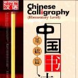 中國書法基礎篇(6DVD)