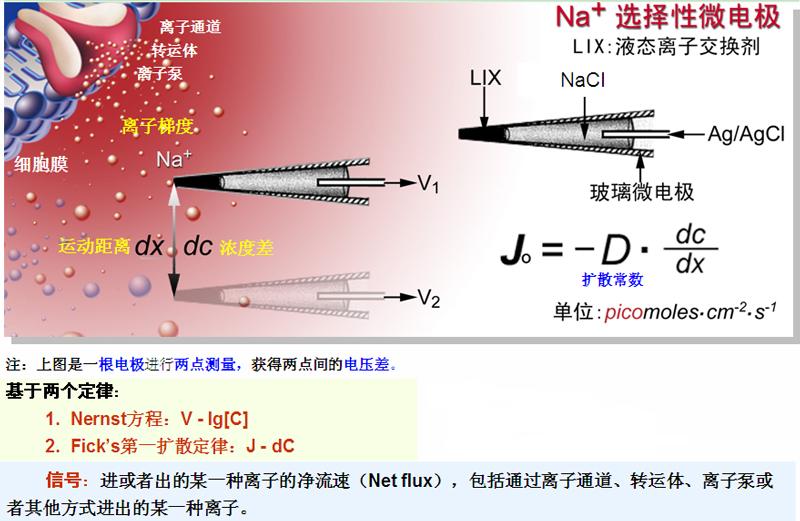 NMT技術原理示意圖