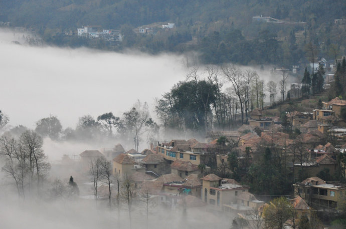 多依樹村(雲南省普洱景東縣龍街鄉多依樹村民委員會)