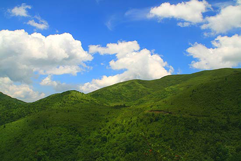 酃峰