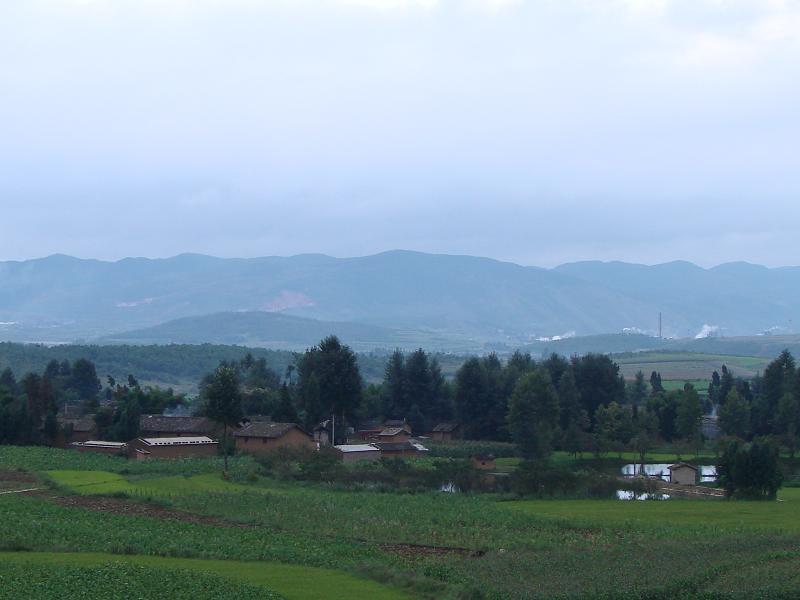 張所村(雲南省尋甸縣金所鄉張所村)