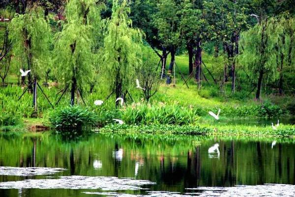 河南嵩頂國家森林公園