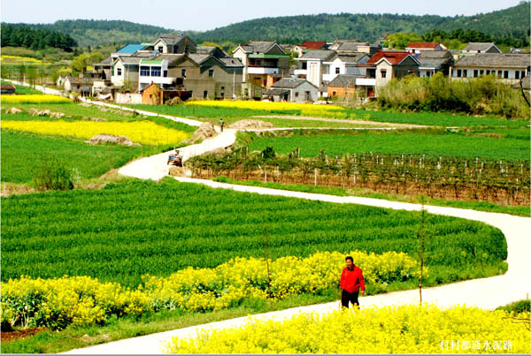 南京市溧水區東屏鎮群力村