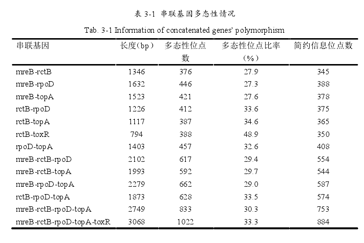 多位點序列分析