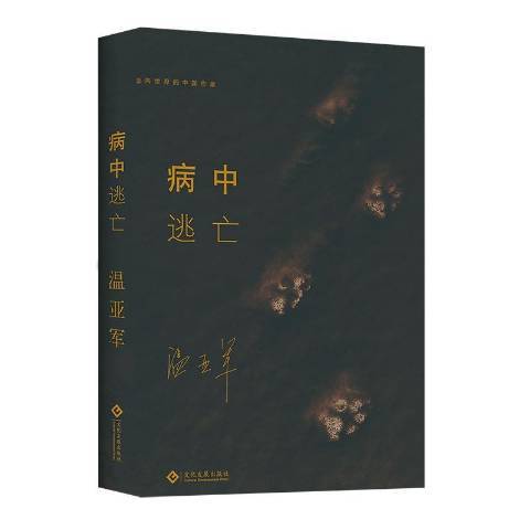 病中逃亡(2019年文化發展出版社出版的圖書)