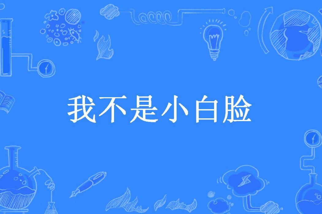 我不是小白臉(逐風南所著小說)