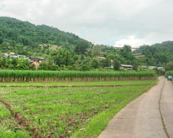 芒行村