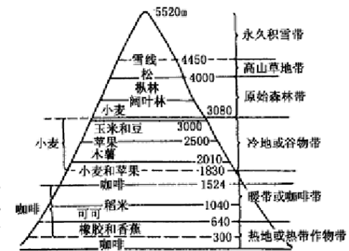 圖2 安第斯山（赤道區）垂直氣候帶